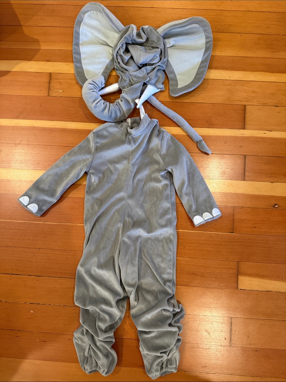 In character elephant costume